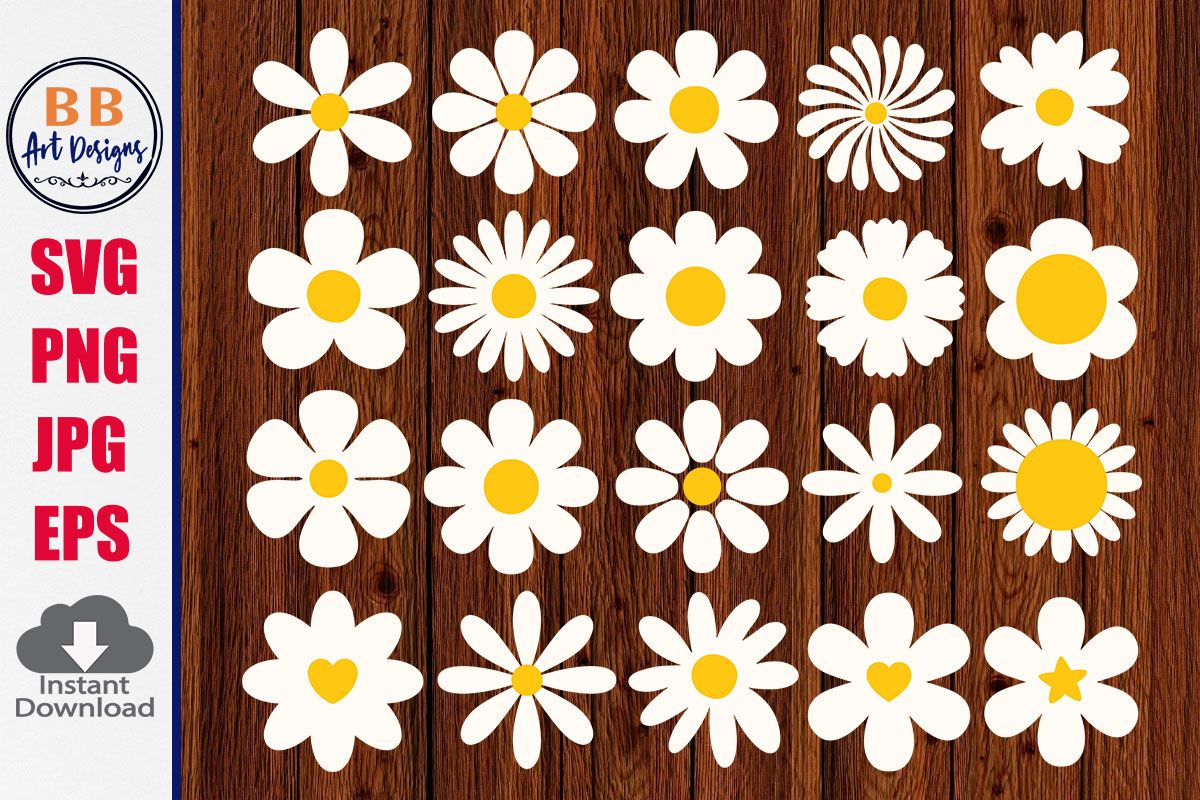 Daisy Svg, Daisy Flower Spring Summer