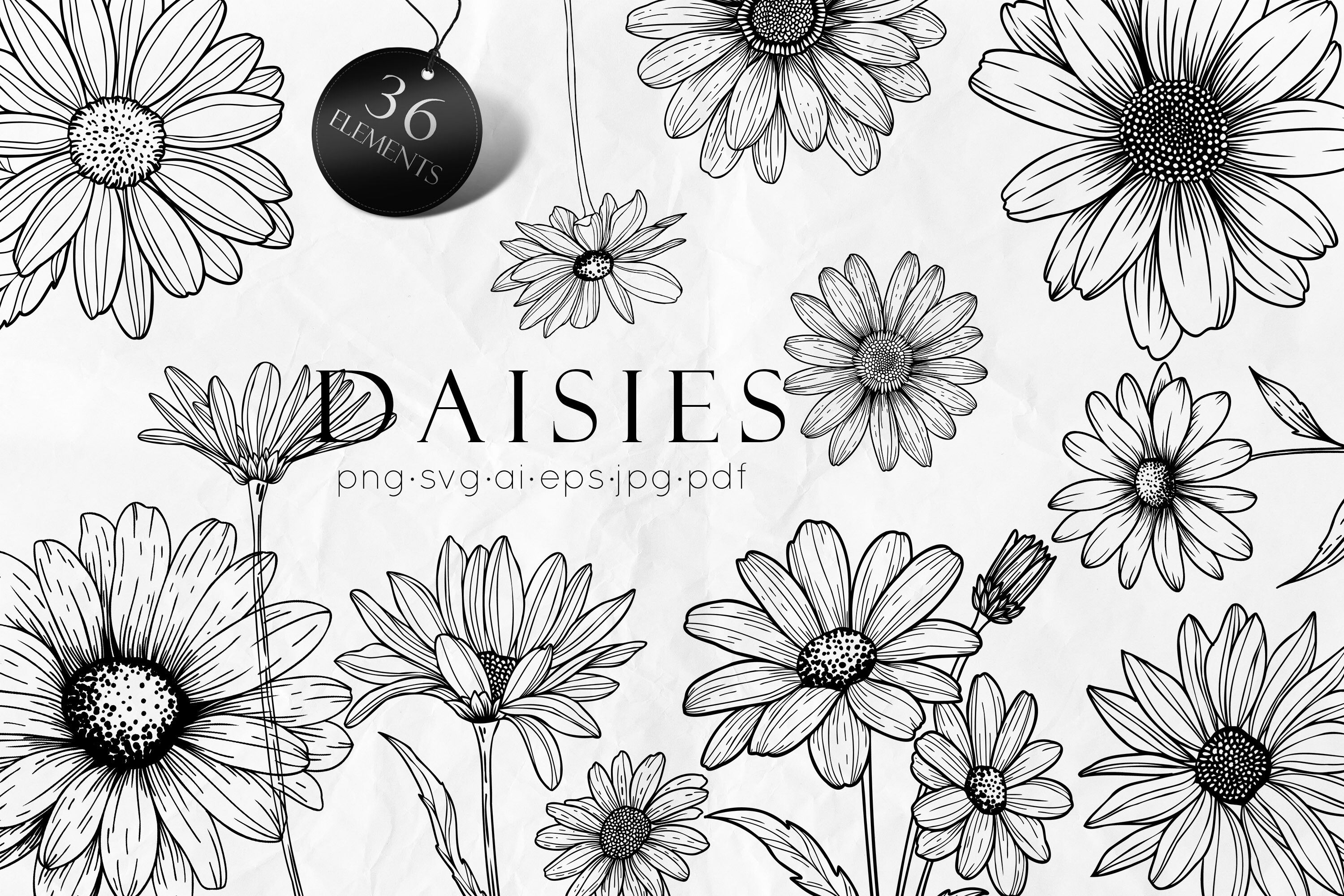 Daisy Line Art Drawing SVG